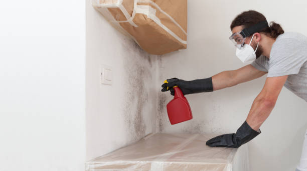 Professional Commercial Mold Remediation technician working in Harrisburg, OR